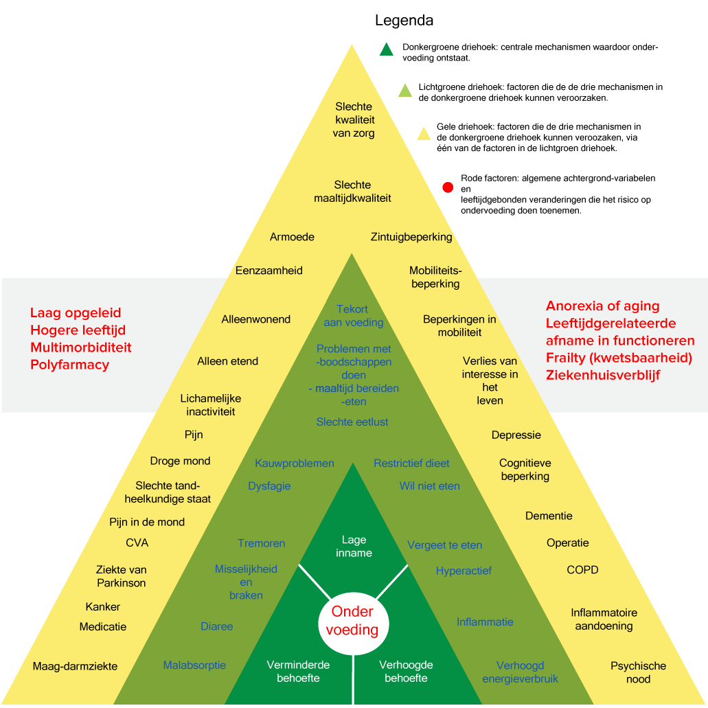 piramide Kenniscentrum Ondervoeding